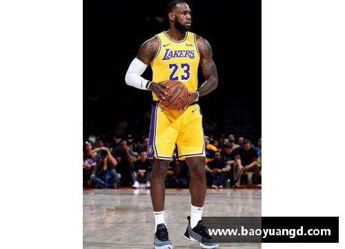 yl永利集团NBA波罗：探索其职业生涯的巅峰与低谷 - 副本