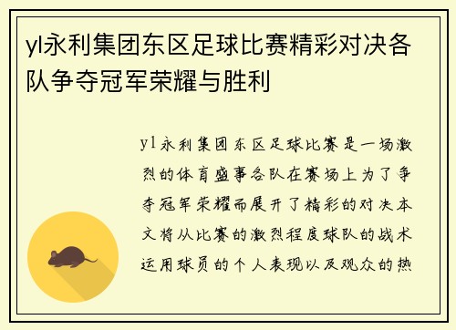 yl永利集团东区足球比赛精彩对决各队争夺冠军荣耀与胜利