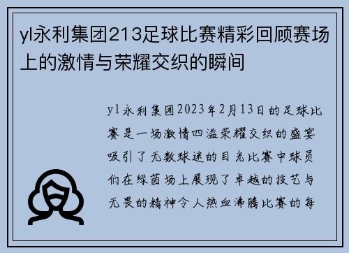 yl永利集团213足球比赛精彩回顾赛场上的激情与荣耀交织的瞬间